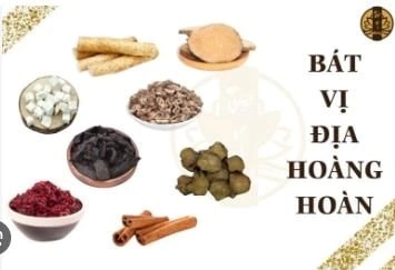 100+ Hình Ảnh Cây Lục Bát Siêu Đẹp 2026 – Tải Ngay Đầy Đủ Mọi Nhu Cầu? 100+ Hình Ảnh Cây Lục Bát Siêu Đẹp 2026 – Tải Ngay Đầy Đủ Mọi Nhu Cầu?