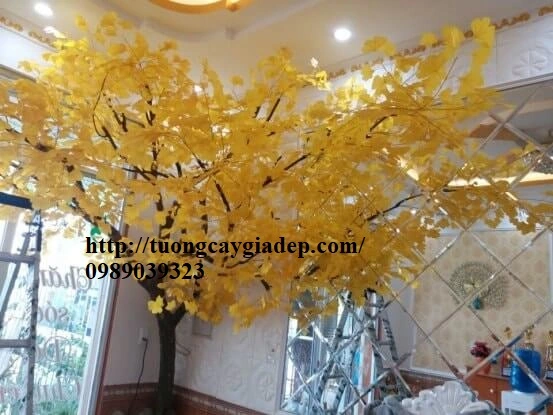 100+ Hình Ảnh Cây Mai Vàng Đẹp 2026 – Bộ Sưu Tập Đầy Đủ Cho Mọi Nhu Cầu Sử Dụng 100+ Hình Ảnh Cây Mai Vàng Đẹp 2026 – Bộ Sưu Tập Đầy Đủ Cho Mọi Nhu Cầu Sử Dụng