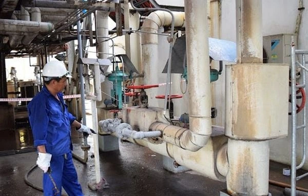 100+ Hình Ảnh Cây Mía Đường 2026 – Bộ Sưu Tập Đẹp Nhất, Đầy Màu Sắc Và Cảm Hứng, Bạn Đã Xem Chưa?