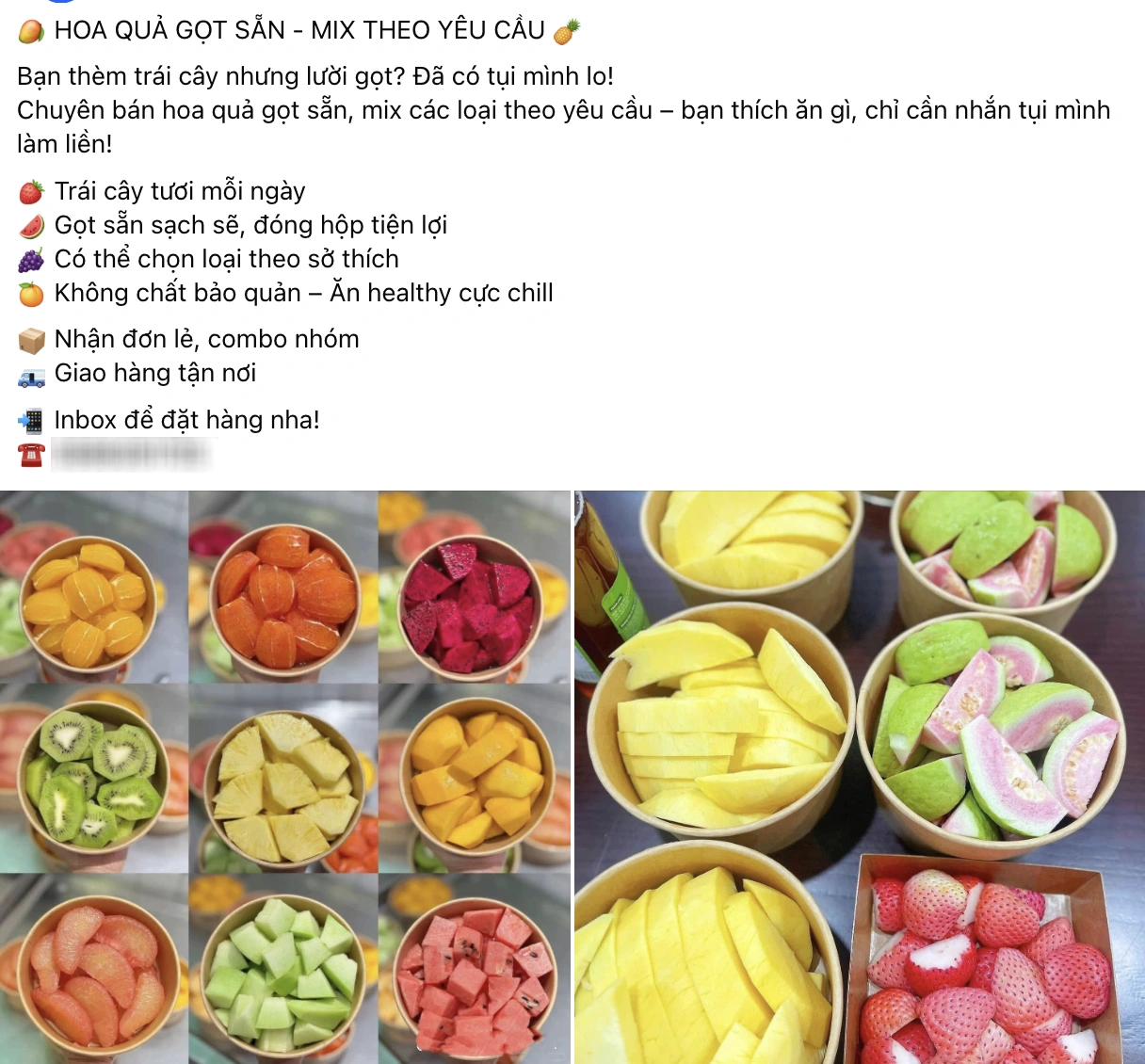 100+ Hình Ảnh Cây Rọ Heo 4k Đẹp Nhất 2026 – Bạn Đã Xem Chưa? 100+ Hình Ảnh Cây Rọ Heo 4k Đẹp Nhất 2026 – Bạn Đã Xem Chưa?