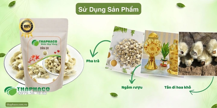 100+ Hình Ảnh Cây Tân Di Đẹp Nhất 2026 – Bộ Sưu Tập 4k Siêu Sắc Nét, 100+ Cây Tân Di Độc Đáo Cho Wallpaper, Avatar & In Ấn 100+ Hình Ảnh Cây Tân Di Đẹp Nhất 2026 – Bộ Sưu Tập 4k Siêu Sắc Nét, 100+ Cây Tân Di Độc Đáo Cho Wallpaper, Avatar & In Ấn