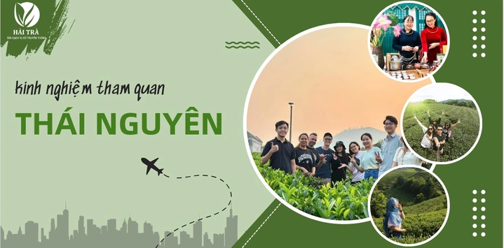 100+ Hình Ảnh Cây Tân Di Đẹp Nhất 2026 – Bộ Sưu Tập 4k Siêu Sắc Nét, 100+ Cây Tân Di Độc Đáo Cho Wallpaper, Avatar & In Ấn 100+ Hình Ảnh Cây Tân Di Đẹp Nhất 2026 – Bộ Sưu Tập 4k Siêu Sắc Nét, 100+ Cây Tân Di Độc Đáo Cho Wallpaper, Avatar & In Ấn