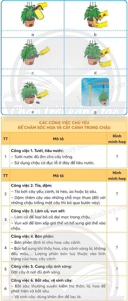 100+ Hình Ảnh Cây Thiếu Nước 2026 - Bộ Sưu Tập Đẹp Nhất, Siêu Đậm Chất Lượng, Dễ Dàng Tải 100+ Hình Ảnh Cây Thiếu Nước 2026 - Bộ Sưu Tập Đẹp Nhất, Siêu Đậm Chất Lượng, Dễ Dàng Tải