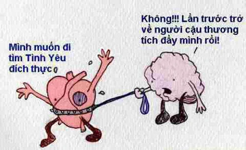 30+ Hình Ảnh Châm Biếm Về Tình Yêu Đầy Hài Hước Dành Cho Các Cặp Đôi & Người Yêu Thích Meme