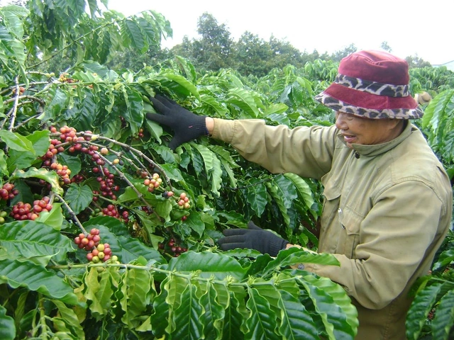 100+ Hình Ảnh Chăm Sóc Cây Trồng 2026 - Bộ Sưu Tập Đẹp Nhất, Đầy Đủ Mọi Nhu Cầu 100+ Hình Ảnh Chăm Sóc Cây Trồng 2026 - Bộ Sưu Tập Đẹp Nhất, Đầy Đủ Mọi Nhu Cầu
