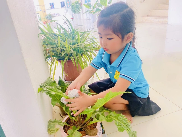 100+ Hình Ảnh Chăm Sóc Cây Trồng 2026 - Bộ Sưu Tập Đẹp Nhất, Đầy Đủ Mọi Nhu Cầu 100+ Hình Ảnh Chăm Sóc Cây Trồng 2026 - Bộ Sưu Tập Đẹp Nhất, Đầy Đủ Mọi Nhu Cầu