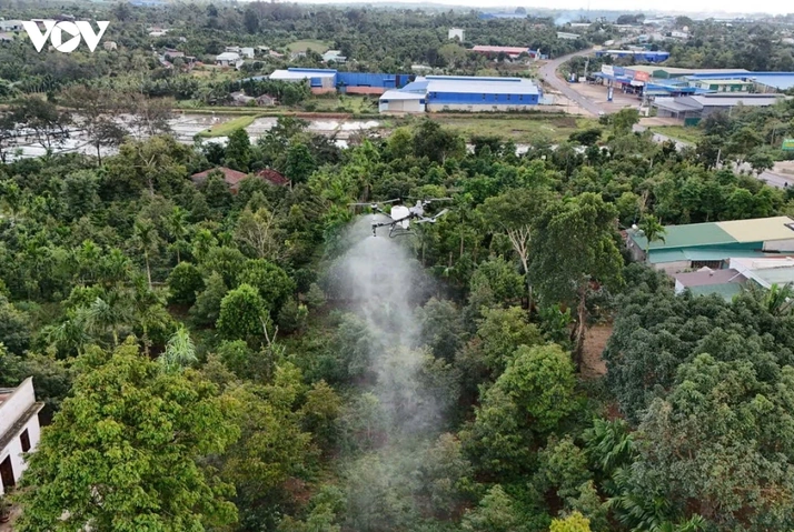 100+ Hình Ảnh Chăm Sóc Cây Trồng 2026 - Bộ Sưu Tập Đẹp Nhất, Đầy Đủ Mọi Nhu Cầu 100+ Hình Ảnh Chăm Sóc Cây Trồng 2026 - Bộ Sưu Tập Đẹp Nhất, Đầy Đủ Mọi Nhu Cầu
