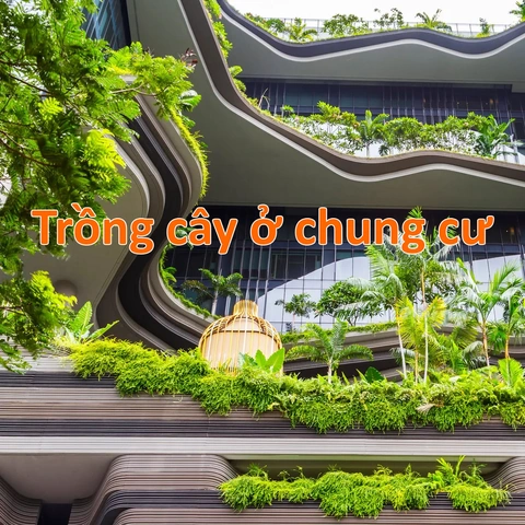 100+ Hình Ảnh Chăm Sóc Cây Trồng 2026 - Bộ Sưu Tập Đẹp Nhất, Đầy Đủ Mọi Nhu Cầu 100+ Hình Ảnh Chăm Sóc Cây Trồng 2026 - Bộ Sưu Tập Đẹp Nhất, Đầy Đủ Mọi Nhu Cầu