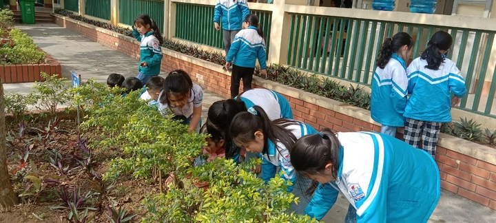 100+ Hình Ảnh Chăm Sóc Cây Trồng 2026 - Bộ Sưu Tập Đẹp Nhất, Đầy Đủ Mọi Nhu Cầu 100+ Hình Ảnh Chăm Sóc Cây Trồng 2026 - Bộ Sưu Tập Đẹp Nhất, Đầy Đủ Mọi Nhu Cầu