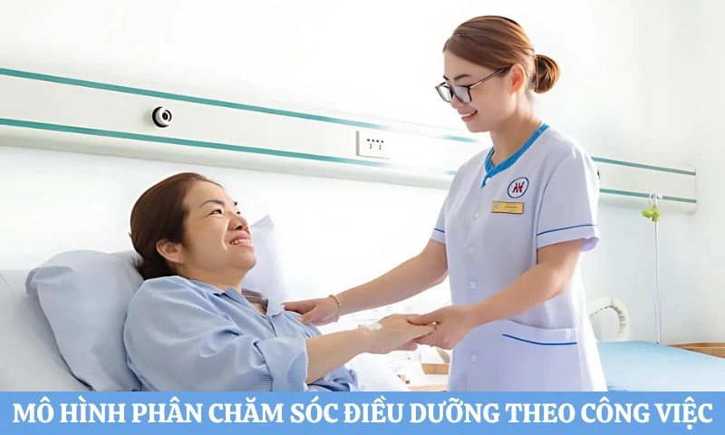 100+ Hình Ảnh Chàm Thể Tạng Full Hd 2026 – Bộ Sưu Tập Đẹp Nhất, 100+ Ảnh Chàm Thể Tạng Độc Đáo Khiến Bạn Thấy Rõ Bệnh Lý 100+ Hình Ảnh Chàm Thể Tạng Full Hd 2026 – Bộ Sưu Tập Đẹp Nhất, 100+ Ảnh Chàm Thể Tạng Độc Đáo Khiến Bạn Thấy Rõ Bệnh Lý