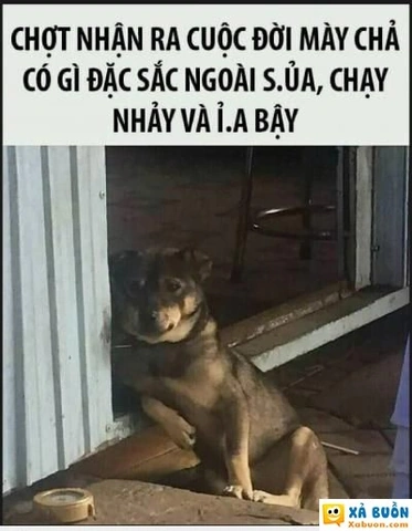 100+ Hình Ảnh Chán Đời Hài Hước 2026 - Bộ Sưu Tập Đầy Cười Vỡ Bụng 100+ Hình Ảnh Chán Đời Hài Hước 2026 - Bộ Sưu Tập Đầy Cười Vỡ Bụng