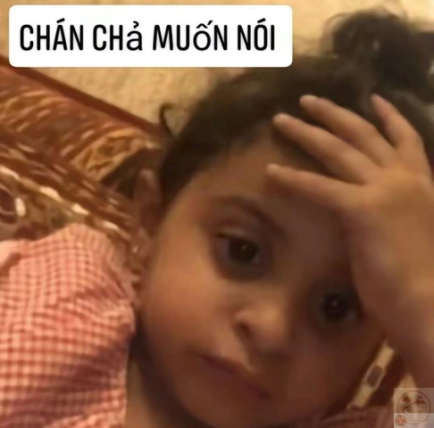 100+ Hình Ảnh Chán Đời Hài Hước 2026 - Bộ Sưu Tập Đầy Cười Vỡ Bụng 100+ Hình Ảnh Chán Đời Hài Hước 2026 - Bộ Sưu Tập Đầy Cười Vỡ Bụng