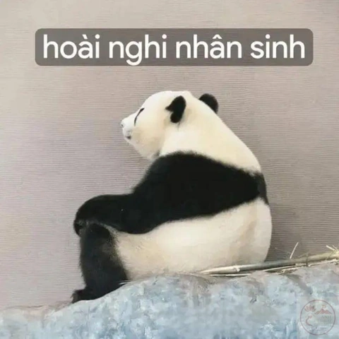 100+ Hình Ảnh Chán Đời Hài Hước 2026 - Bộ Sưu Tập Đầy Cười Vỡ Bụng 100+ Hình Ảnh Chán Đời Hài Hước 2026 - Bộ Sưu Tập Đầy Cười Vỡ Bụng