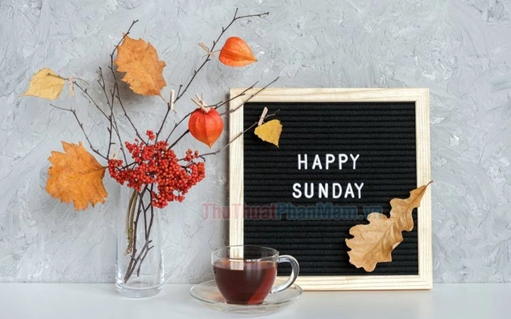 Hình Ảnh Chào Buổi Sáng Chủ Nhật: Bộ Sưu Tập Đẹp Nhất, Lời Chúc Ý Nghĩa & Cách Sử Dụng Cho Mọi Đối Tượng Hình Ảnh Chào Buổi Sáng Chủ Nhật: Bộ Sưu Tập Đẹp Nhất, Lời Chúc Ý Nghĩa & Cách Sử Dụng Cho Mọi Đối Tượng