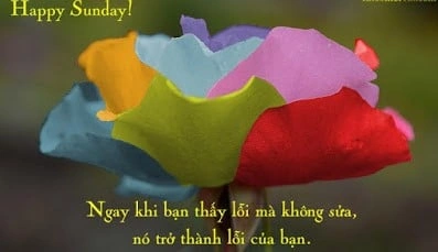 Hình Ảnh Chào Buổi Sáng Chủ Nhật: Bộ Sưu Tập Đẹp Nhất, Lời Chúc Ý Nghĩa & Cách Sử Dụng Cho Mọi Đối Tượng Hình Ảnh Chào Buổi Sáng Chủ Nhật: Bộ Sưu Tập Đẹp Nhất, Lời Chúc Ý Nghĩa & Cách Sử Dụng Cho Mọi Đối Tượng