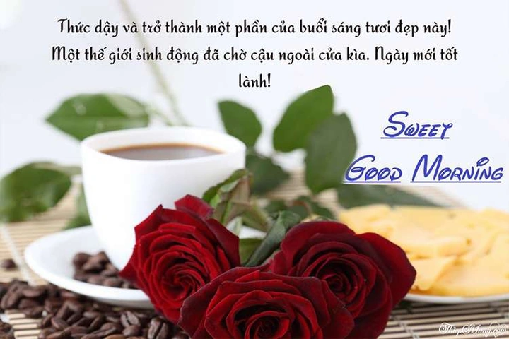 Hình Ảnh Chào Buổi Sáng Chủ Nhật: Bộ Sưu Tập Đẹp Nhất, Lời Chúc Ý Nghĩa & Cách Sử Dụng Cho Mọi Đối Tượng Hình Ảnh Chào Buổi Sáng Chủ Nhật: Bộ Sưu Tập Đẹp Nhất, Lời Chúc Ý Nghĩa & Cách Sử Dụng Cho Mọi Đối Tượng