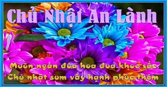 Hình Ảnh Chào Buổi Sáng Chủ Nhật: Bộ Sưu Tập Đẹp Nhất, Lời Chúc Ý Nghĩa & Cách Sử Dụng Cho Mọi Đối Tượng Hình Ảnh Chào Buổi Sáng Chủ Nhật: Bộ Sưu Tập Đẹp Nhất, Lời Chúc Ý Nghĩa & Cách Sử Dụng Cho Mọi Đối Tượng