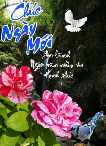 Hình Ảnh Chào Buổi Sáng Chủ Nhật: Bộ Sưu Tập Đẹp Nhất, Lời Chúc Ý Nghĩa & Cách Sử Dụng Cho Mọi Đối Tượng Hình Ảnh Chào Buổi Sáng Chủ Nhật: Bộ Sưu Tập Đẹp Nhất, Lời Chúc Ý Nghĩa & Cách Sử Dụng Cho Mọi Đối Tượng