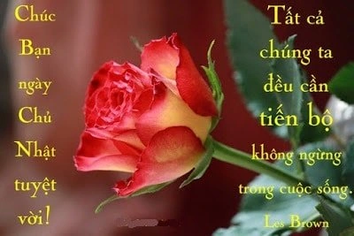 Hình Ảnh Chào Buổi Sáng Chủ Nhật: Bộ Sưu Tập Đẹp Nhất, Lời Chúc Ý Nghĩa & Cách Sử Dụng Cho Mọi Đối Tượng Hình Ảnh Chào Buổi Sáng Chủ Nhật: Bộ Sưu Tập Đẹp Nhất, Lời Chúc Ý Nghĩa & Cách Sử Dụng Cho Mọi Đối Tượng