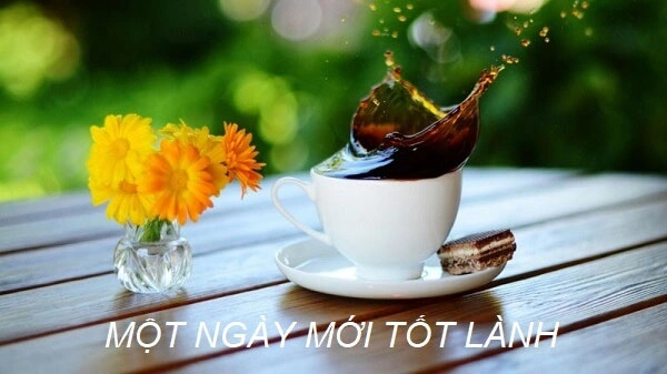 Hình Ảnh Chào Buổi Sáng Chủ Nhật: Bộ Sưu Tập Đẹp Nhất, Lời Chúc Ý Nghĩa & Cách Sử Dụng Cho Mọi Đối Tượng Hình Ảnh Chào Buổi Sáng Chủ Nhật: Bộ Sưu Tập Đẹp Nhất, Lời Chúc Ý Nghĩa & Cách Sử Dụng Cho Mọi Đối Tượng