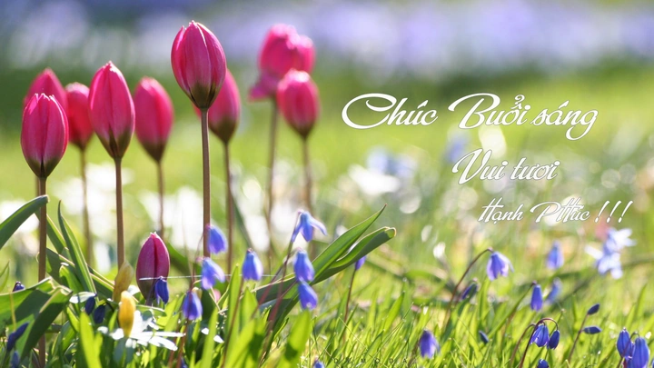 Hình Ảnh Chào Buổi Sáng Chủ Nhật: Bộ Sưu Tập Đẹp Nhất, Lời Chúc Ý Nghĩa & Cách Sử Dụng Cho Mọi Đối Tượng Hình Ảnh Chào Buổi Sáng Chủ Nhật: Bộ Sưu Tập Đẹp Nhất, Lời Chúc Ý Nghĩa & Cách Sử Dụng Cho Mọi Đối Tượng