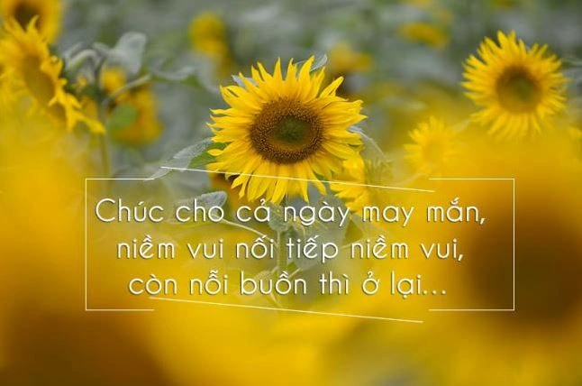 Hình Ảnh Chào Buổi Sáng Chủ Nhật: Bộ Sưu Tập Đẹp Nhất, Lời Chúc Ý Nghĩa & Cách Sử Dụng Cho Mọi Đối Tượng Hình Ảnh Chào Buổi Sáng Chủ Nhật: Bộ Sưu Tập Đẹp Nhất, Lời Chúc Ý Nghĩa & Cách Sử Dụng Cho Mọi Đối Tượng