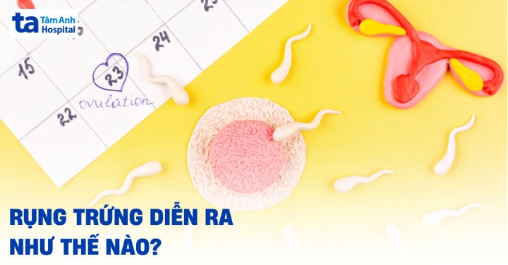 Hình Ảnh Chất Nhầy Khi Rụng Trứng: Cách Nhận Biết, Thời Gian Xuất Hiện & Ý Nghĩa Cho Phụ Nữ Muốn Mang Thai Hình Ảnh Chất Nhầy Khi Rụng Trứng: Cách Nhận Biết, Thời Gian Xuất Hiện & Ý Nghĩa Cho Phụ Nữ Muốn Mang Thai