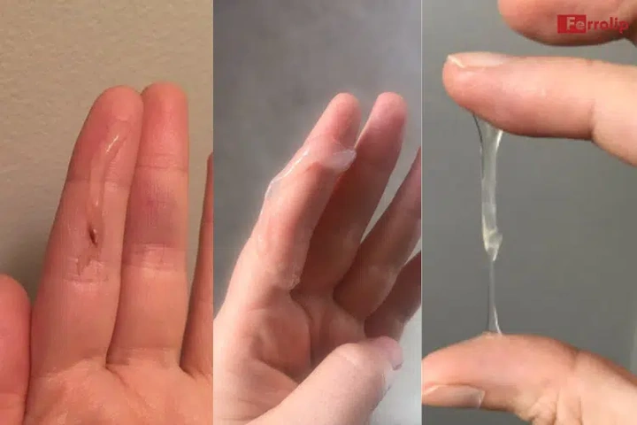 Hình Ảnh Chất Nhầy Khi Rụng Trứng: Cách Nhận Biết, Thời Gian Xuất Hiện & Ý Nghĩa Cho Phụ Nữ Muốn Mang Thai Hình Ảnh Chất Nhầy Khi Rụng Trứng: Cách Nhận Biết, Thời Gian Xuất Hiện & Ý Nghĩa Cho Phụ Nữ Muốn Mang Thai
