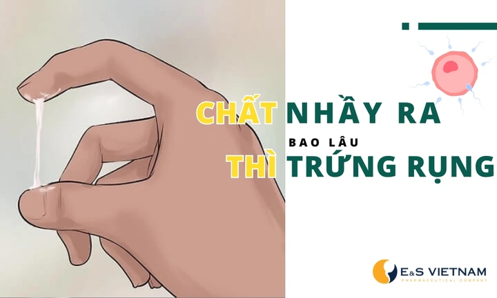 Hình Ảnh Chất Nhầy Khi Rụng Trứng: Cách Nhận Biết, Thời Gian Xuất Hiện & Ý Nghĩa Cho Phụ Nữ Muốn Mang Thai Hình Ảnh Chất Nhầy Khi Rụng Trứng: Cách Nhận Biết, Thời Gian Xuất Hiện & Ý Nghĩa Cho Phụ Nữ Muốn Mang Thai