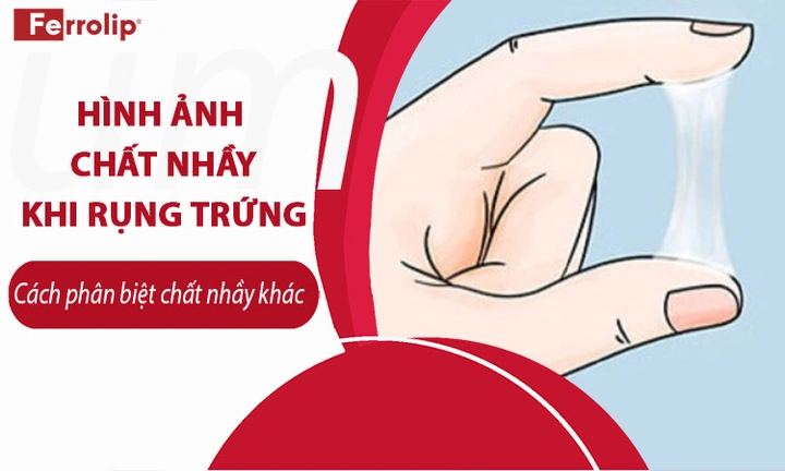 Hình Ảnh Chất Nhầy Khi Rụng Trứng: Cách Nhận Biết, Thời Gian Xuất Hiện & Ý Nghĩa Cho Phụ Nữ Muốn Mang Thai Hình Ảnh Chất Nhầy Khi Rụng Trứng: Cách Nhận Biết, Thời Gian Xuất Hiện & Ý Nghĩa Cho Phụ Nữ Muốn Mang Thai