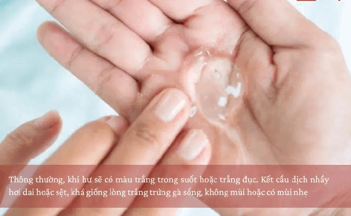 Hình Ảnh Chất Nhầy Khi Rụng Trứng: Cách Nhận Biết, Thời Gian Xuất Hiện & Ý Nghĩa Cho Phụ Nữ Muốn Mang Thai Hình Ảnh Chất Nhầy Khi Rụng Trứng: Cách Nhận Biết, Thời Gian Xuất Hiện & Ý Nghĩa Cho Phụ Nữ Muốn Mang Thai