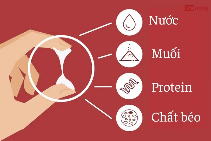 Hình Ảnh Chất Nhầy Khi Rụng Trứng: Cách Nhận Biết, Thời Gian Xuất Hiện & Ý Nghĩa Cho Phụ Nữ Muốn Mang Thai Hình Ảnh Chất Nhầy Khi Rụng Trứng: Cách Nhận Biết, Thời Gian Xuất Hiện & Ý Nghĩa Cho Phụ Nữ Muốn Mang Thai