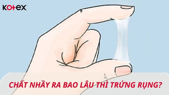 Hình Ảnh Chất Nhầy Khi Rụng Trứng: Cách Nhận Biết, Thời Gian Xuất Hiện & Ý Nghĩa Cho Phụ Nữ Muốn Mang Thai Hình Ảnh Chất Nhầy Khi Rụng Trứng: Cách Nhận Biết, Thời Gian Xuất Hiện & Ý Nghĩa Cho Phụ Nữ Muốn Mang Thai