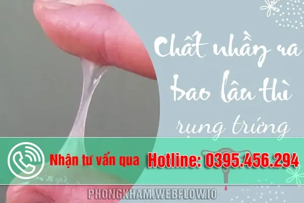 Hình Ảnh Chất Nhầy Khi Rụng Trứng: Cách Nhận Biết, Thời Gian Xuất Hiện & Ý Nghĩa Cho Phụ Nữ Muốn Mang Thai Hình Ảnh Chất Nhầy Khi Rụng Trứng: Cách Nhận Biết, Thời Gian Xuất Hiện & Ý Nghĩa Cho Phụ Nữ Muốn Mang Thai