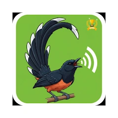 100+ Hình Ảnh Chim Chích Chòe Lửa 2026 - Bộ Sưu Tập Đẹp Nhất, Đầy Màu Sắc Độc Đáo