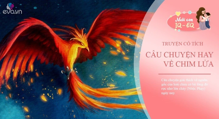 100+ Hình Ảnh Chim Chích Chòe Lửa 2026 - Bộ Sưu Tập Đẹp Nhất, Đầy Màu Sắc Độc Đáo