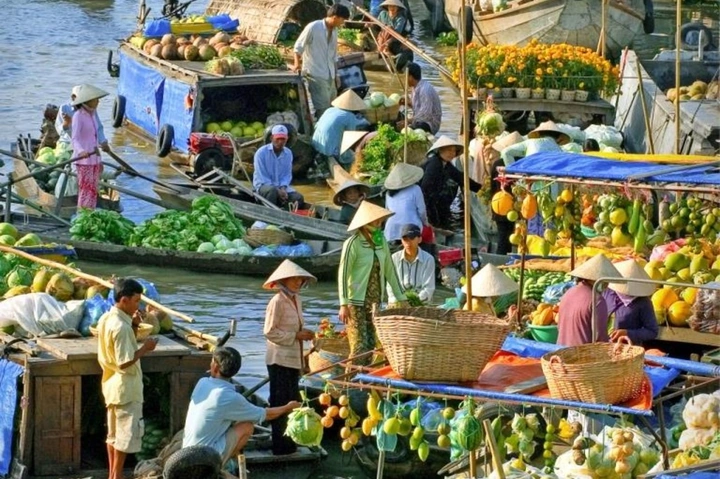 100+ Hình Ảnh Chợ Nổi Miền Tây 2026 - Đẹp Nhất, Đầy Màu Sắc 100+ Hình Ảnh Chợ Nổi Miền Tây 2026 - Đẹp Nhất, Đầy Màu Sắc