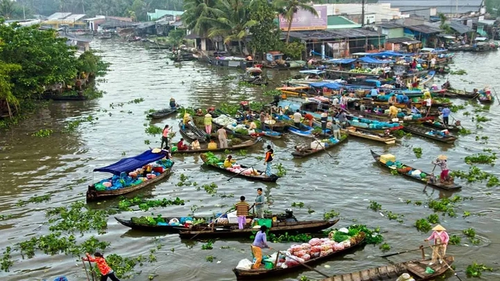 100+ Hình Ảnh Chợ Nổi Miền Tây 2026 - Đẹp Nhất, Đầy Màu Sắc 100+ Hình Ảnh Chợ Nổi Miền Tây 2026 - Đẹp Nhất, Đầy Màu Sắc