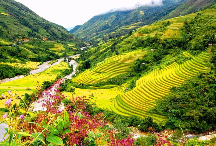 100+ Hình Ảnh Chủ Đề Quê Hương 2026 – Bộ Sưu Tập Đẹp Nhất Dành Cho Bạn