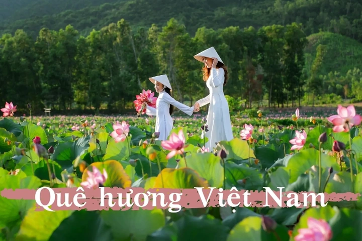 100+ Hình Ảnh Chủ Đề Quê Hương 2026 – Bộ Sưu Tập Đẹp Nhất Dành Cho Bạn
