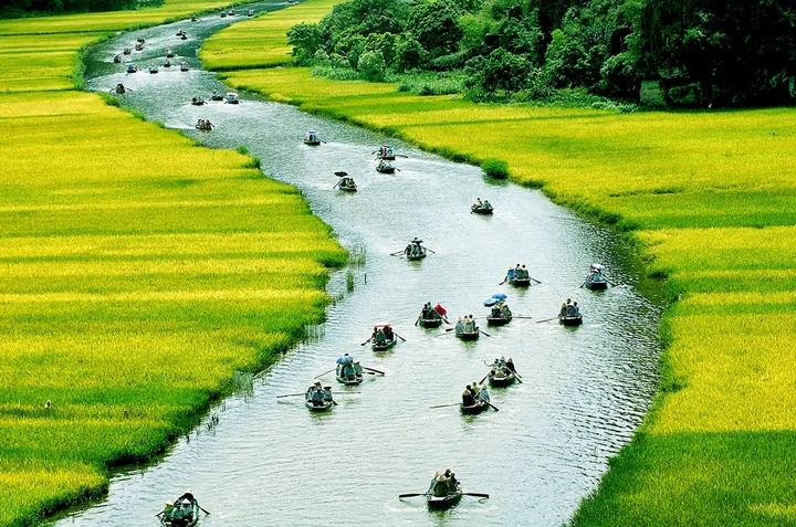 100+ Hình Ảnh Chủ Đề Quê Hương 2026 – Bộ Sưu Tập Đẹp Nhất Dành Cho Bạn