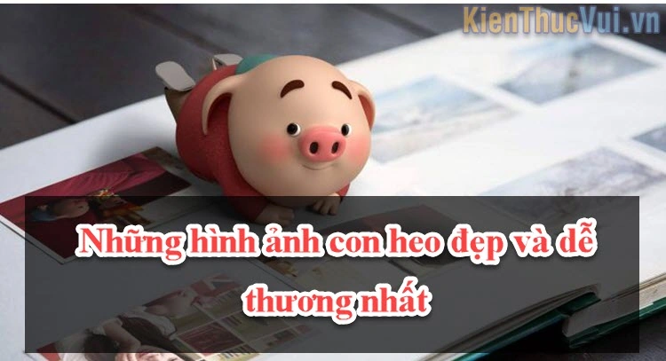 100+ Hình Ảnh Chú Heo Buồn 2026 – Bộ Sưu Tập Đầy Cảm Xúc, Đẹp Nhất 100+ Hình Ảnh Chú Heo Buồn 2026 – Bộ Sưu Tập Đầy Cảm Xúc, Đẹp Nhất