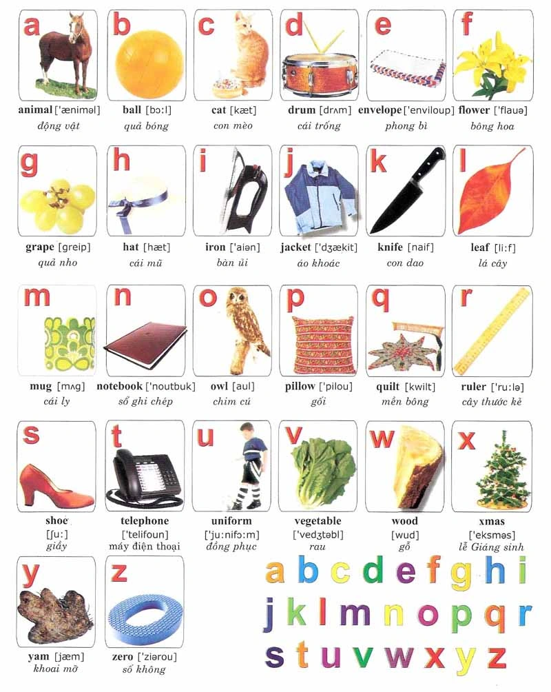 100+ Hình Ảnh Chữ Tiếng Anh Đẹp 2026 – Bạn Đã Xem Chưa? 100+ Hình Ảnh Chữ Tiếng Anh Đẹp 2026 – Bạn Đã Xem Chưa?