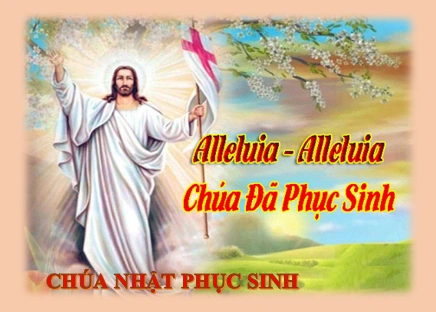 100+ Hình Ảnh Chúa Sống Lại 2026 Đầy Cảm Hứng, Bạn Đã Xem? 100+ Hình Ảnh Chúa Sống Lại 2026 Đầy Cảm Hứng, Bạn Đã Xem?