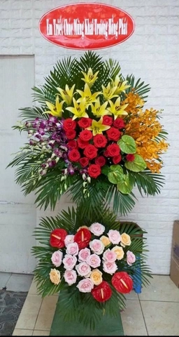 100+ Hình Ảnh Chúc Mừng Khai Trương 2026 – Bộ Sưu Tập Đẹp Nhất, Đầy Đủ Mọi Phong Cách, Đã Sẵn Sàng Cho Bạn Tải Miễn Phí? 100+ Hình Ảnh Chúc Mừng Khai Trương 2026 – Bộ Sưu Tập Đẹp Nhất, Đầy Đủ Mọi Phong Cách, Đã Sẵn Sàng Cho Bạn Tải Miễn Phí?