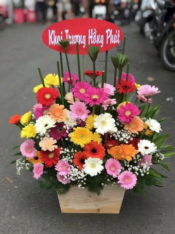 100+ Hình Ảnh Chúc Mừng Khai Trương 2026 – Bộ Sưu Tập Đẹp Nhất, Đầy Đủ Mọi Phong Cách, Đã Sẵn Sàng Cho Bạn Tải Miễn Phí? 100+ Hình Ảnh Chúc Mừng Khai Trương 2026 – Bộ Sưu Tập Đẹp Nhất, Đầy Đủ Mọi Phong Cách, Đã Sẵn Sàng Cho Bạn Tải Miễn Phí?