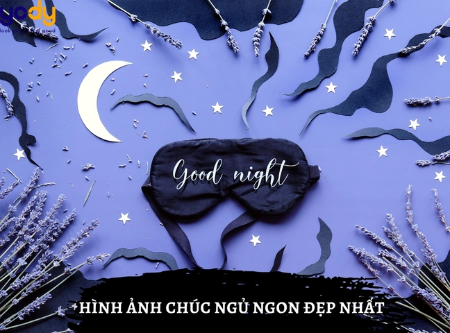 Hình Ảnh Chúc Ngủ Ngon Ý Nghĩa: Bộ Sưu Tập Đẹp Nhất & Cách Gửi Đúng Cảm Xúc Cho Người Thân Yêu Hình Ảnh Chúc Ngủ Ngon Ý Nghĩa: Bộ Sưu Tập Đẹp Nhất & Cách Gửi Đúng Cảm Xúc Cho Người Thân Yêu