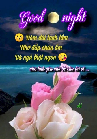 Hình Ảnh Chúc Ngủ Ngon Ý Nghĩa: Bộ Sưu Tập Đẹp Nhất & Cách Gửi Đúng Cảm Xúc Cho Người Thân Yêu Hình Ảnh Chúc Ngủ Ngon Ý Nghĩa: Bộ Sưu Tập Đẹp Nhất & Cách Gửi Đúng Cảm Xúc Cho Người Thân Yêu