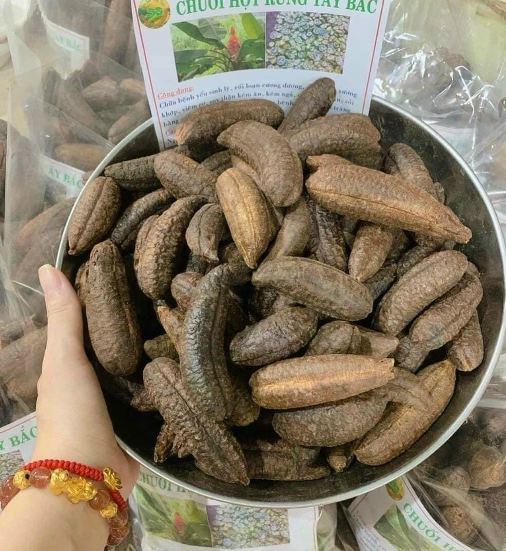 100+ Hình Ảnh Chuối Hột Rừng 2026 Siêu Đẹp, Tải Ngay, Sử Dụng Nhanh? 100+ Hình Ảnh Chuối Hột Rừng 2026 Siêu Đẹp, Tải Ngay, Sử Dụng Nhanh?
