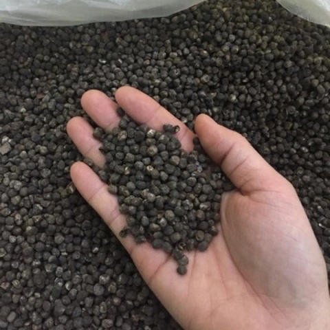 100+ Hình Ảnh Chuối Hột Rừng 2026 Siêu Đẹp, Tải Ngay, Sử Dụng Nhanh? 100+ Hình Ảnh Chuối Hột Rừng 2026 Siêu Đẹp, Tải Ngay, Sử Dụng Nhanh?
